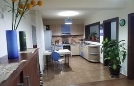 Casa tip duplex de vânzare, 120 mp utili, zona străzii Libertății, Apahida