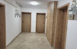 Apartament 2 camere, 50mp, Mountain View