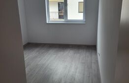 Apartament 2 camere, 50mp, Mountain View