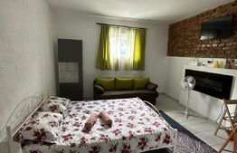 Garsoniera in zona strazii Paris