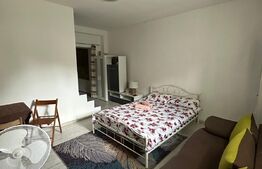 Garsoniera in zona strazii Paris