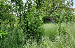 Casa individuala,90 mp utili, 800 mp teren,zona accesibila, Dambu Rotund