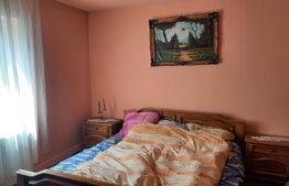 Casa individuala,90 mp utili, 800 mp teren,zona accesibila, Dambu Rotund