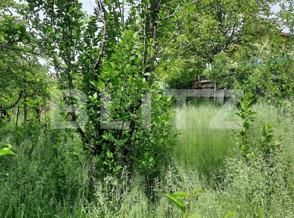 Casa de vânzare 5 camere Dambul Rotund - 117121CV | BLITZ Cluj-Napoca | Poza14