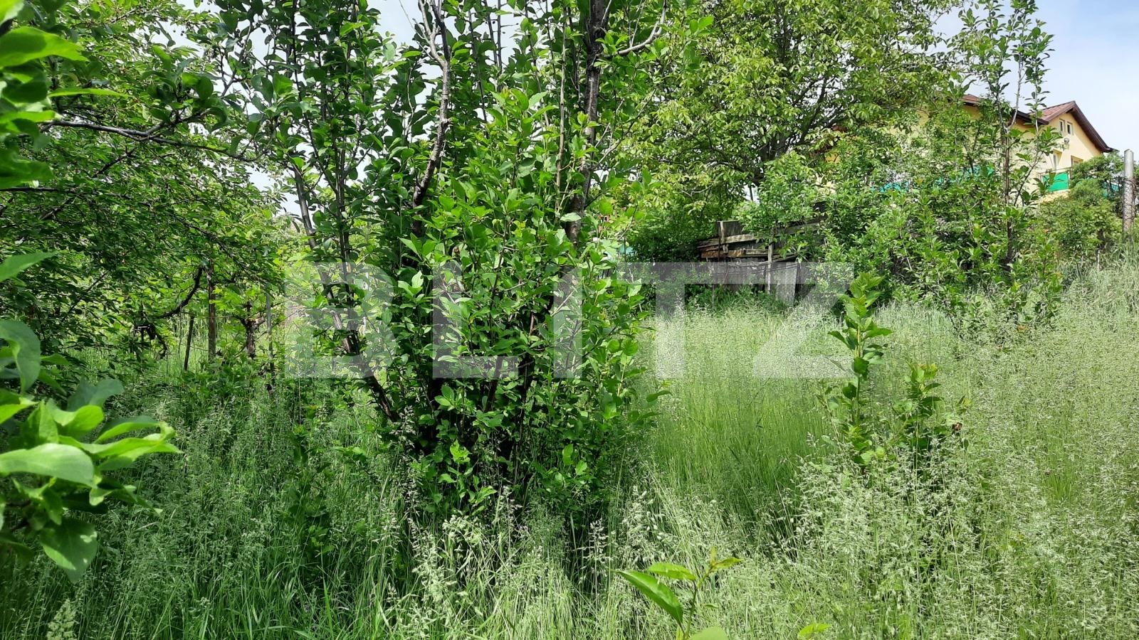 Casa de vânzare 5 camere Dambul Rotund - 117121CV | BLITZ Cluj-Napoca | Poza14