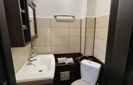 Garsonieră 24 mp luminoasa, mobilată și utilată, parter, zona Uzina 2