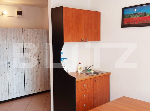 Apartament de vânzare 2 camere Harmanului - 117140AV | BLITZ Brașov | Poza4