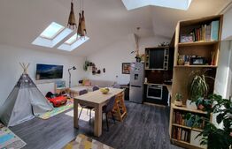 Apartament singur pe etaj, 54mp, modern, tavan inalt, zona Cetatii