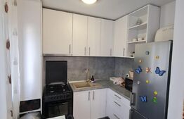 Apartament mobilat si utilat, parcare, zona Teilor