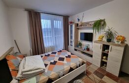 Apartament 2 camere, 53 mp, parcare, Restaurant Regal