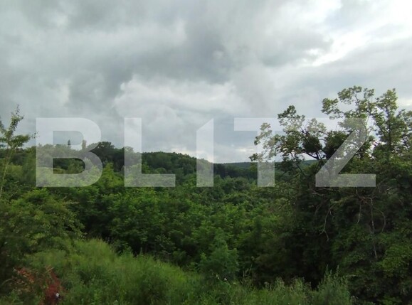 Teren de vânzare Europa - 117258TV | BLITZ Cluj-Napoca | Poza6