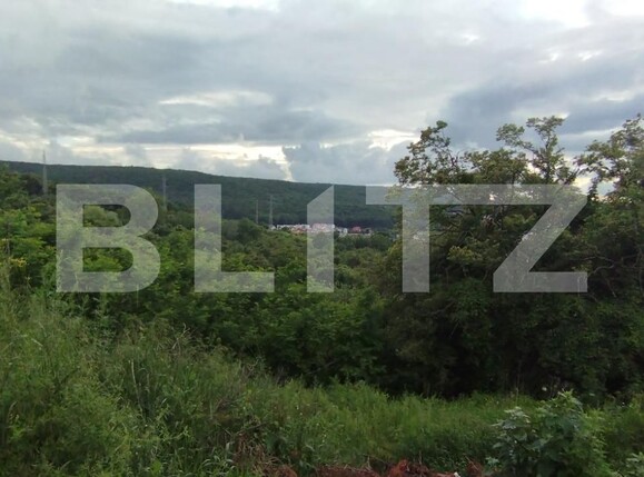 Teren de vânzare Europa - 117258TV | BLITZ Cluj-Napoca | Poza7