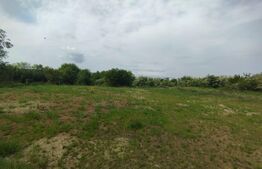 Teren intravilan 1950 mp, Buna Ziua