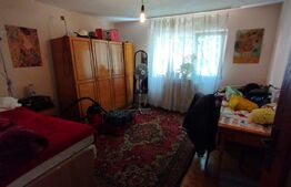 Casa 190 mp utili, 300 mp curte, zona strazii Maramuresului