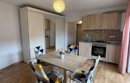 Apartament 1 camera, 34 mp, zona Ioan Rus 