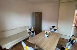 Apartament 1 camera, 34 mp, zona Ioan Rus 