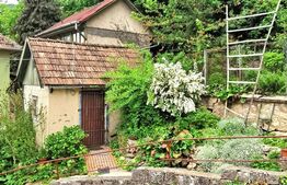 Viziune panoramică asupra Brașovului: Apartament cu personalitate în casa pe Dealul Cetății