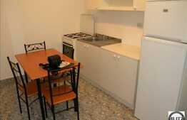 Apartament 1 camera cu scara interioara in zona Operei Maghiare