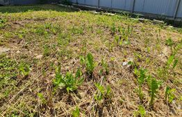 Apartament partial finisat, terasa, gradina 65 mp, parcare, zona Terra