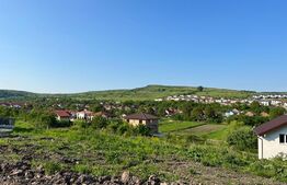 Teren Intravilan Chinteni 3800 mp zona Ion Creanga