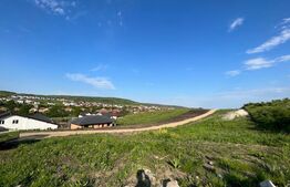 Teren Intravilan Chinteni 3800 mp zona Ion Creanga