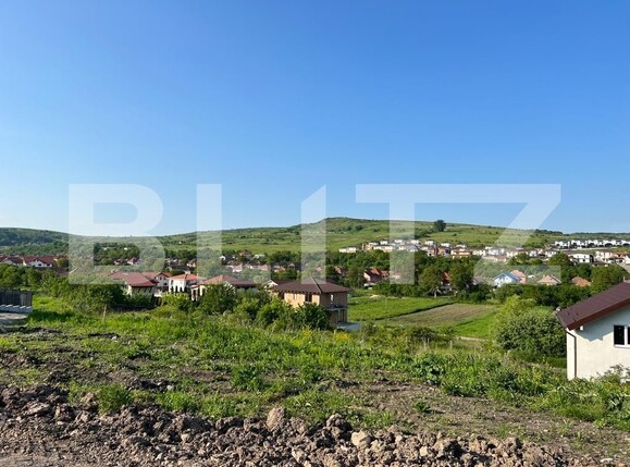 Teren de vânzare Chinteni - 117347TV | BLITZ Cluj-Napoca | Poza2