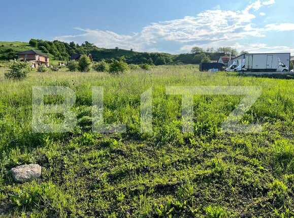 Teren de vânzare Chinteni - 117347TV | BLITZ Cluj-Napoca | Poza3