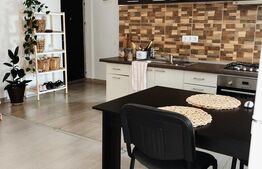 Apartament mobilat si utilat, 2 camere, orientare sudica, parcare, zona Terra