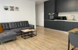 Oportunitate! Apartament cu 2 camere, finisat , mobilat Lux , zona strazii Frunzisului