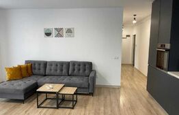 Oportunitate! Apartament cu 2 camere, finisat , mobilat Lux , zona strazii Frunzisului