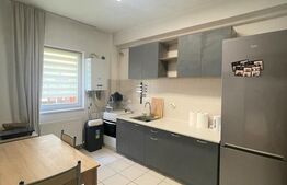 Apartament 1 camera, 40 mp, pet friendly, zona Leroy Merlin 