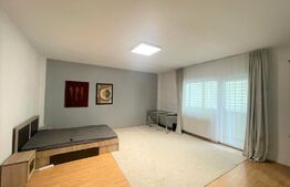 Apartament 1 camera, 40 mp, pet friendly, zona Leroy Merlin 