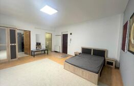 Apartament 1 camera, 40 mp, pet friendly, zona Leroy Merlin 