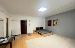 Apartament 1 camera, 40 mp, pet friendly, zona Leroy Merlin 