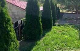 Casa mobilata si utilata, la cheie, Frata