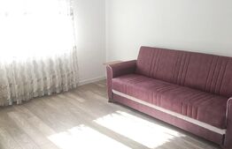 Oportunitate! Apartament 2 camere decomandat, mobilat, proaspat renovat, Zona Tractorul