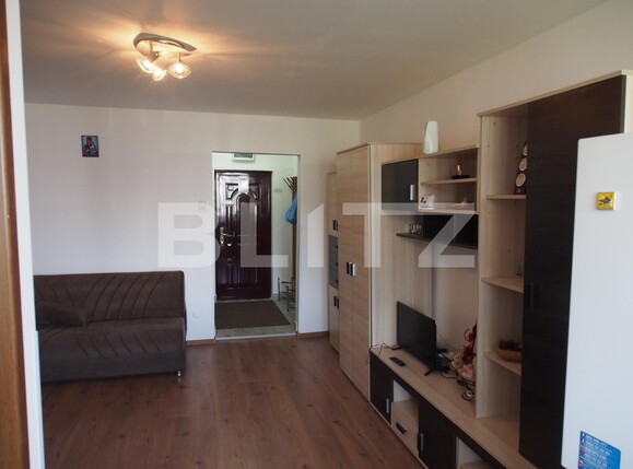 Garsonieră de închiriat Astra - 117524AI | BLITZ Brașov | Poza3