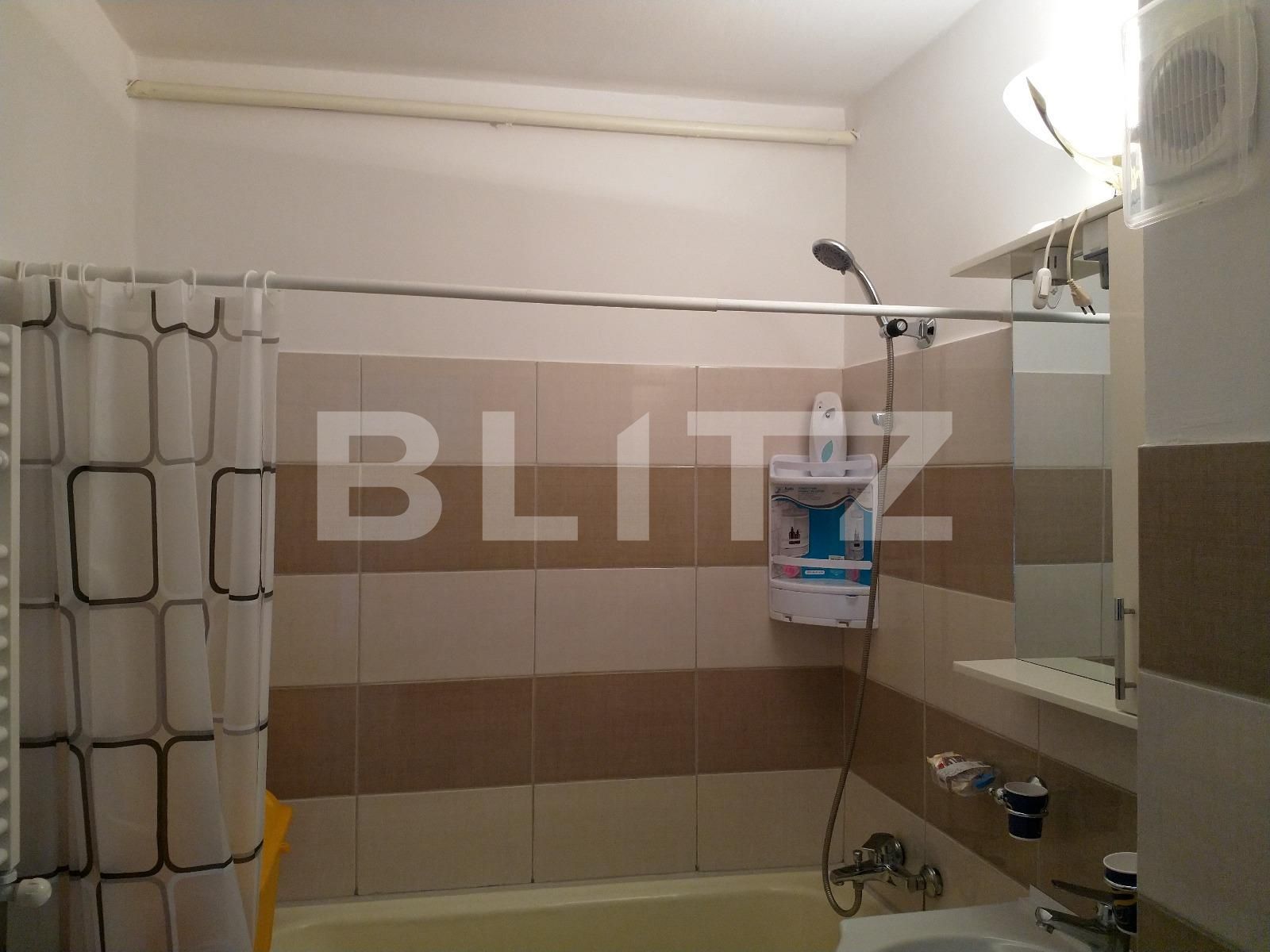 Garsonieră de închiriat Astra - 117524AI | BLITZ Brașov | Poza13