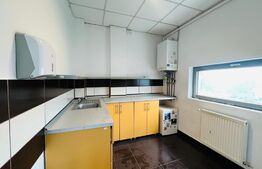 Spatii de birou, 125-135 mp, cladire de birou in zona centrala