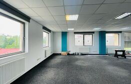 Spatii de birou, 125-135 mp, cladire de birou in zona centrala