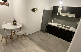 Apartament 2 camere, 46mp, Tip Studio, Tractorul