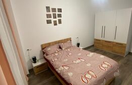 Apartament 2 camere, 46mp, Tip Studio, Tractorul