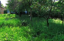 Casa 2 camere, 82mp, teren 475mp in, Bartolomeu