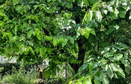 Casa individuala, 80 mp utili, 276 mp teren, Turda, zona Bai