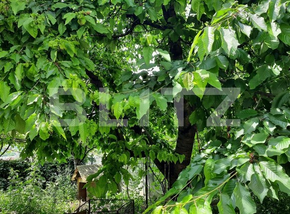 Casa de vânzare 2 camere  - 117626CV | BLITZ Cluj-Napoca | Poza8