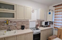 Garsoniera, 35,4 mp utili, orientare sudica, terasa 10,6 mp, debara, zona Porii