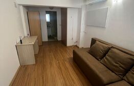 Garsoniera 30 mp, parter, zona Alverna 