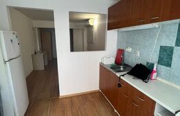 Garsoniera 30 mp, parter, zona Alverna 