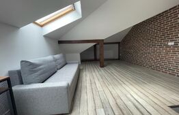 Duplex, 160 mp, 200 mp teren, strada privata, zona Andrei Muresanu