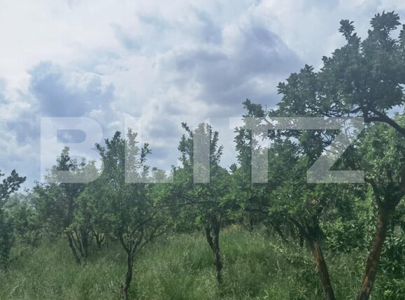 Casa de vânzare 3 camere Exterior Est - 117679CV | BLITZ Cluj-Napoca | Poza8